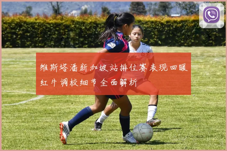 维斯塔潘新加坡站排位赛表现回暖红牛调校细节全面解析